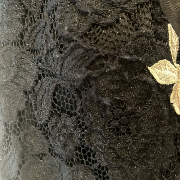 Betsy & Adam Gown - Lace-Mesh-Floral Lined Gown. Black/White Size 12 - Picture 5 of 8